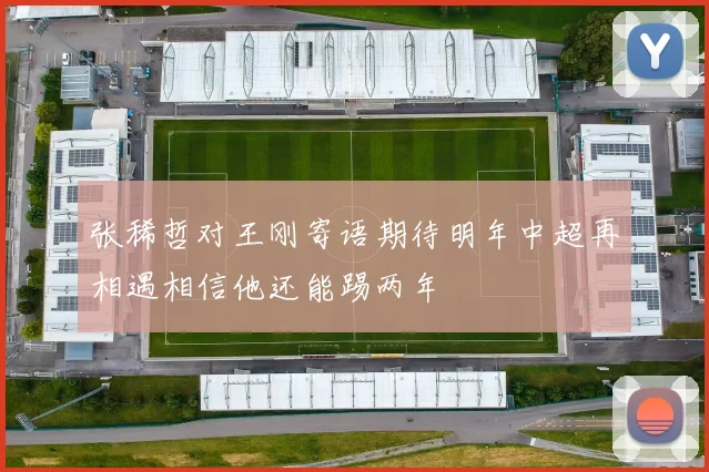张稀哲对王刚寄语期待明年中超再相遇相信他还能踢两年