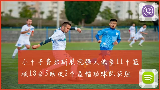 小个子费尔斯展现强大能量11个篮板18分5助攻2个盖帽助球队获胜