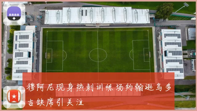 穆阿尼现身热刺训练场约翰逊乌多吉缺席引关注