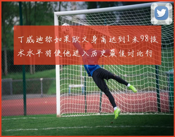 丁威迪称如果欧文身高达到1米98技术水平将使他进入历史最佳讨论行列