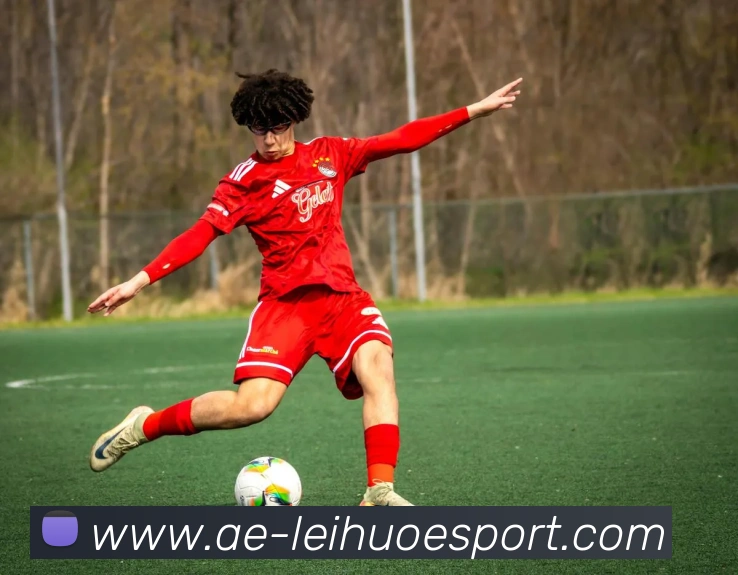 雷火电竞平台生态图