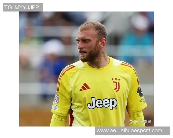 意媒报道布雷默与米雷蒂国际比赛日后复出图多尔阵容将趋于完整